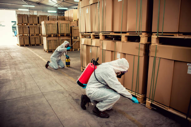 Pest Prevention Services in Hampstead, NC