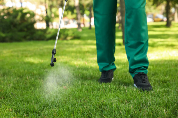 Best Commercial Pest Control Services  in Hampstead, NC