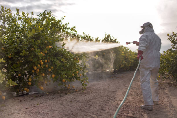 Professional Pest Control in Hampstead, NC