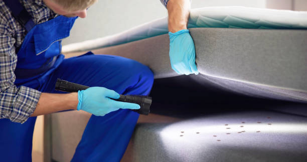 Best Wasp Removal Services  in Hampstead, NC