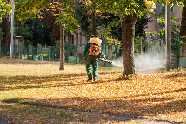 Best Best Pest Control Companies  in Hampstead, NC